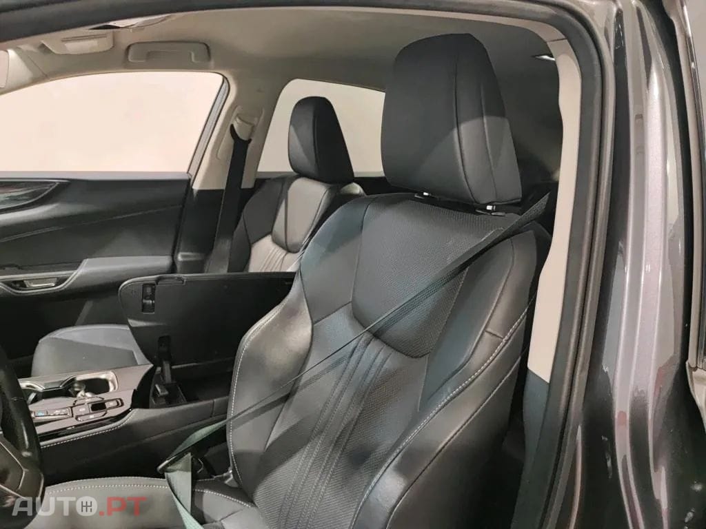 Lexus NX Executive