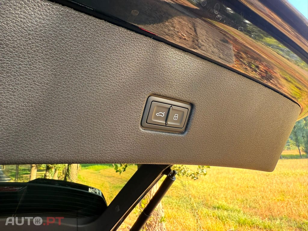 Audi RSQ8 4.0 TFSI quattro Tiptronic
