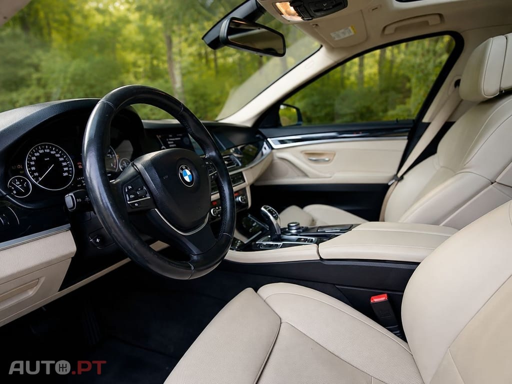 BMW 520 d Line Luxury Auto