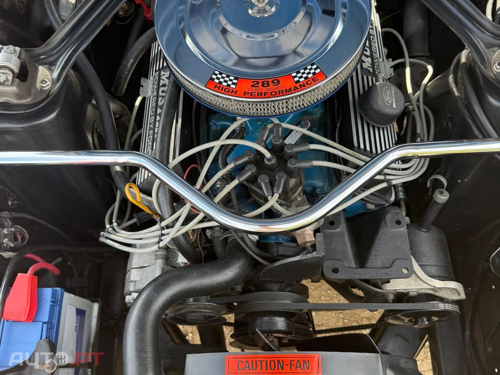 Ford Mustang 289