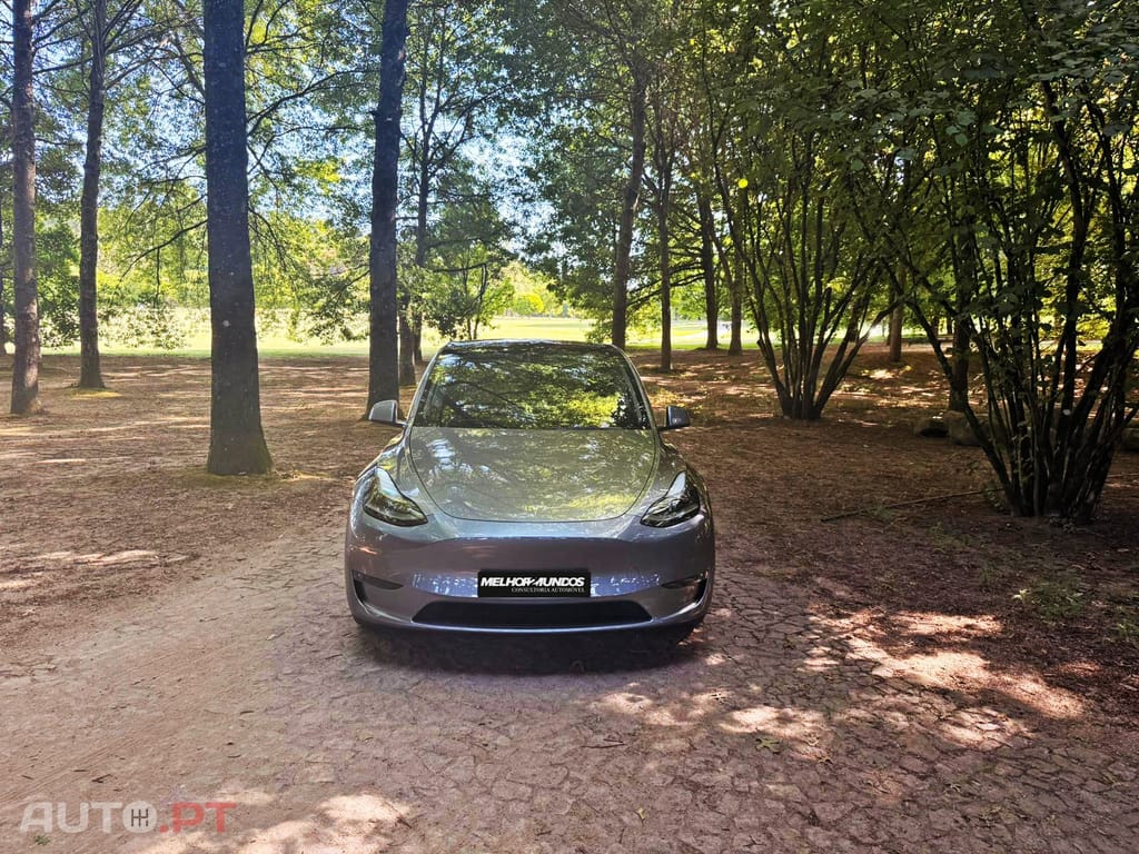 Tesla Model Y Performance Dual Motor AWD