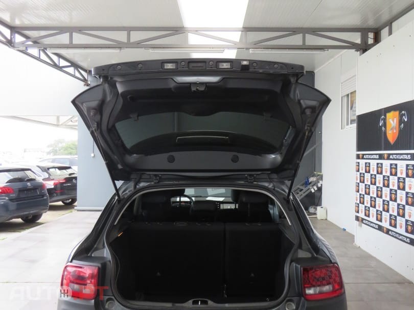 Citroen C4 Cactus 1.6 HDI Panorâmico