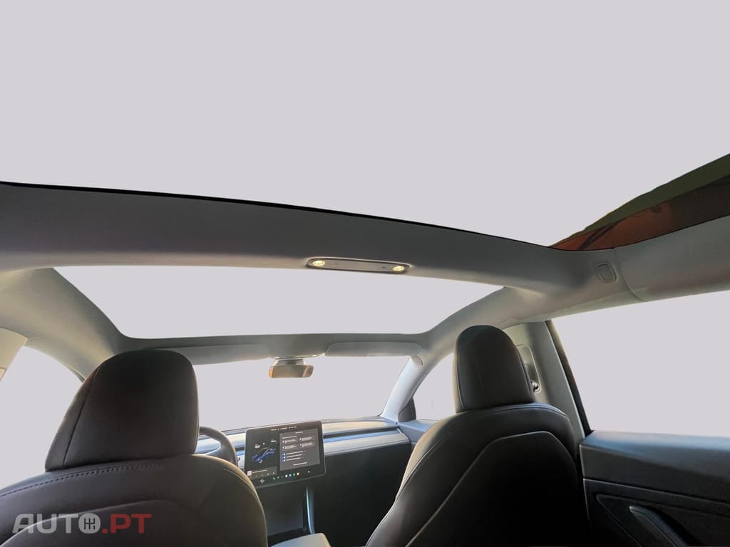 Tesla Model 3 PERFORMANCE 