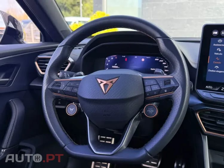 Cupra Formentor 2.0 TDI DSG