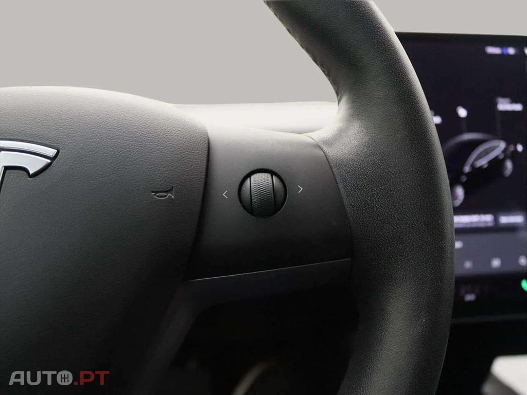 Tesla Model 3 Standard RWD Plus