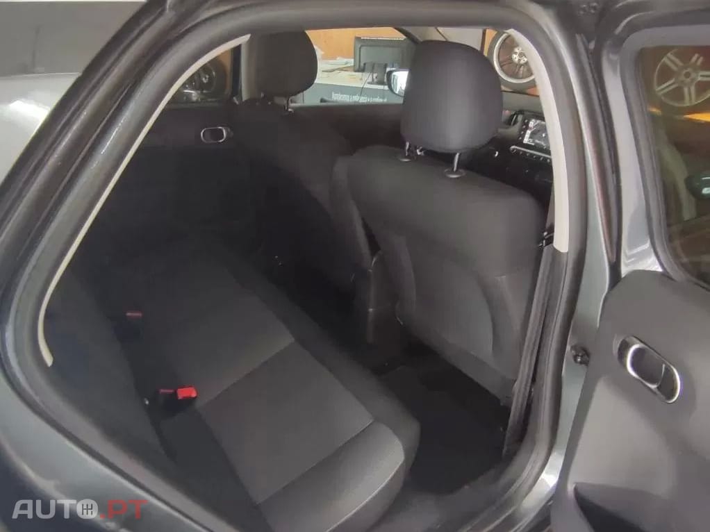 Citroen C4 Cactus 1.6 BlueHDi Shine foto 5