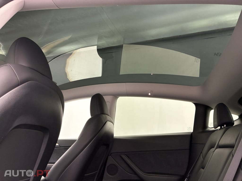 Tesla Model Y Standard RWD