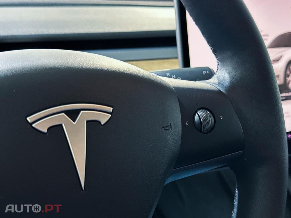 Tesla Model Y Standard