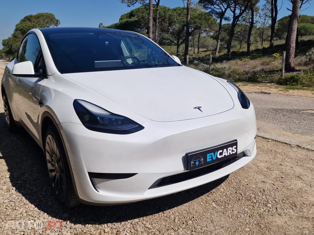 Tesla Model Y RWD