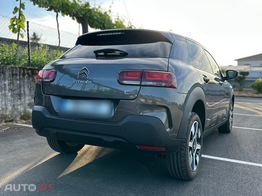 Citroen C4 Cactus 1.6 BlueHDI Shine 100cv