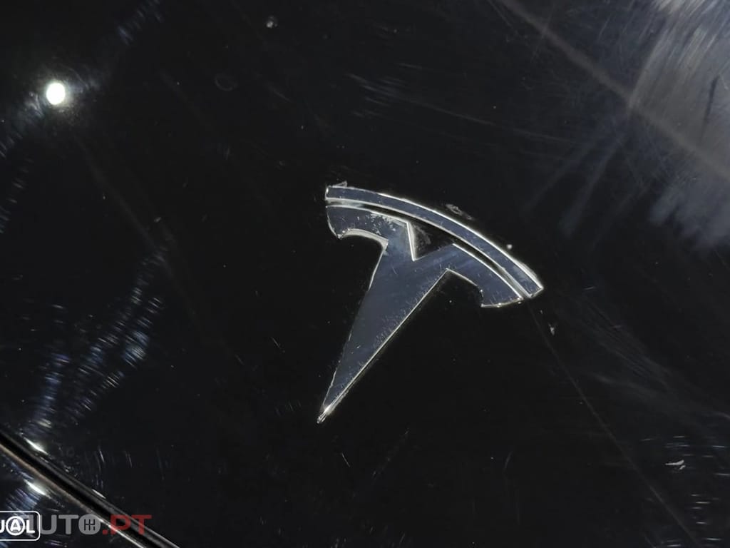 Tesla Model Y RWD