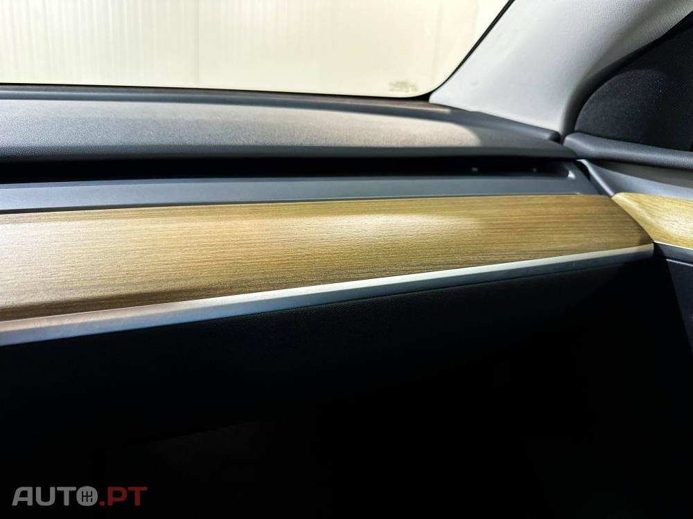 Tesla Model Y Standard