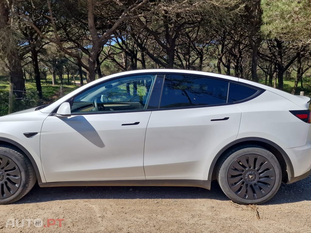 Tesla Model Y RWD