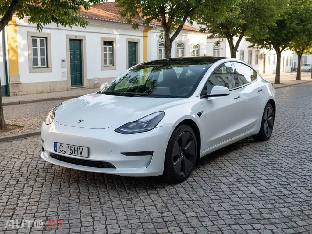 Tesla Model 3 Standard RWD