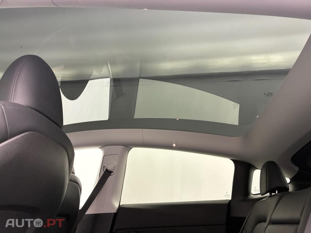 Tesla Model Y Performance Dual Motor AWD
