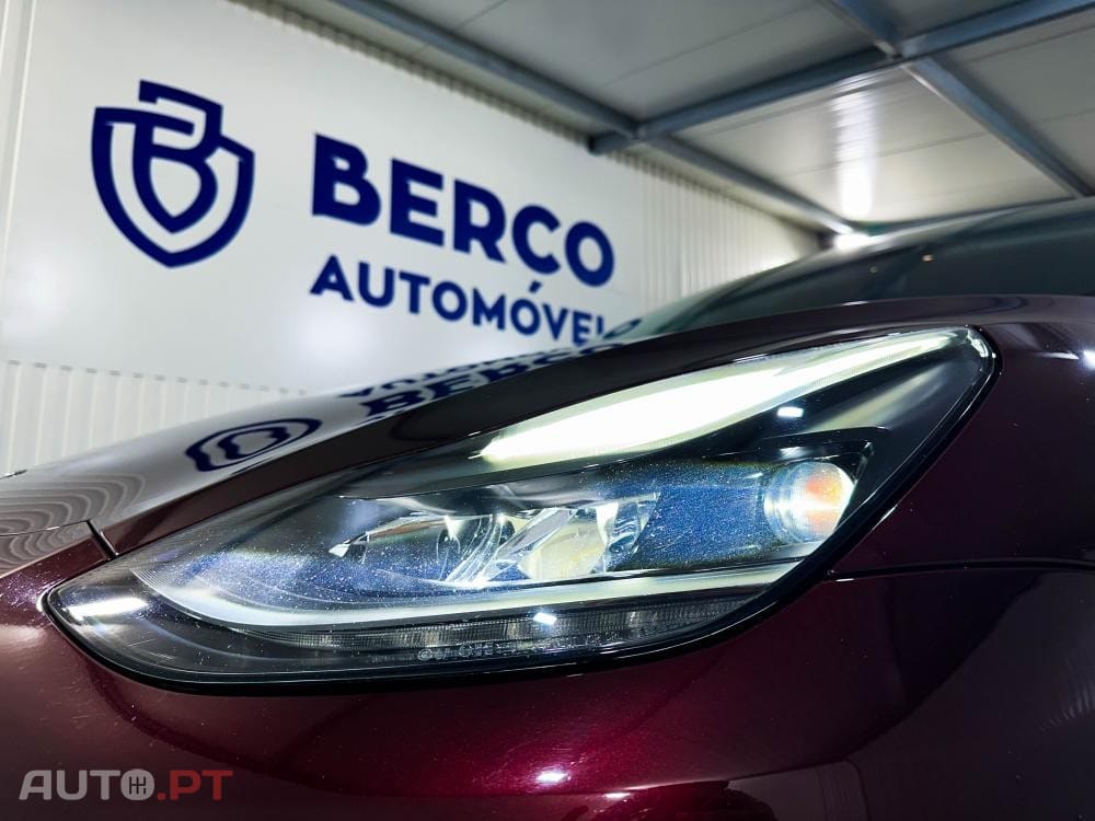 Tesla Model Y Performance Dual Motor AWD