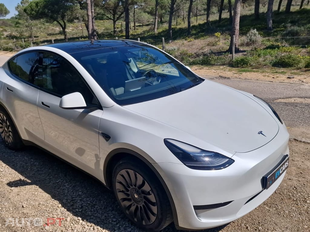Tesla Model Y RWD