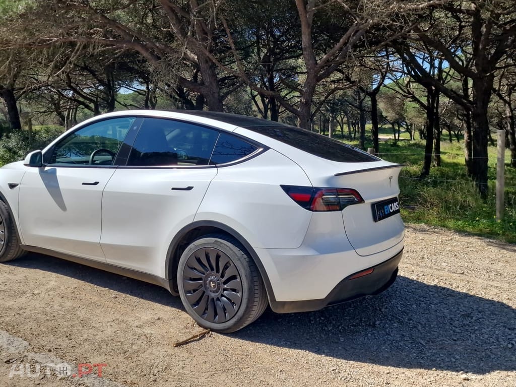 Tesla Model Y RWD