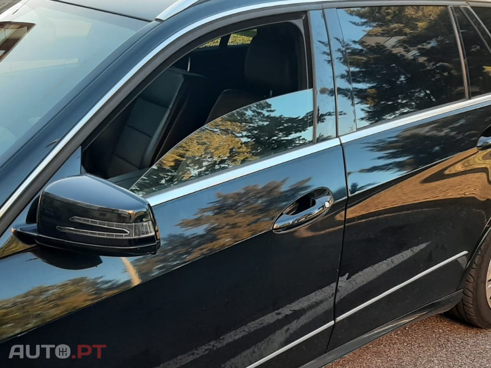 Mercedes-Benz E 220 Blue efficiency