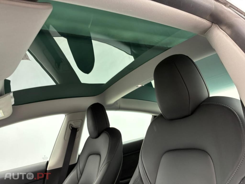 Tesla Model 3 Standard RWD Plus