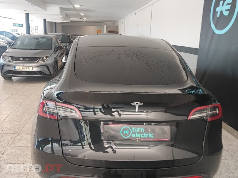 Tesla Model Y Standard