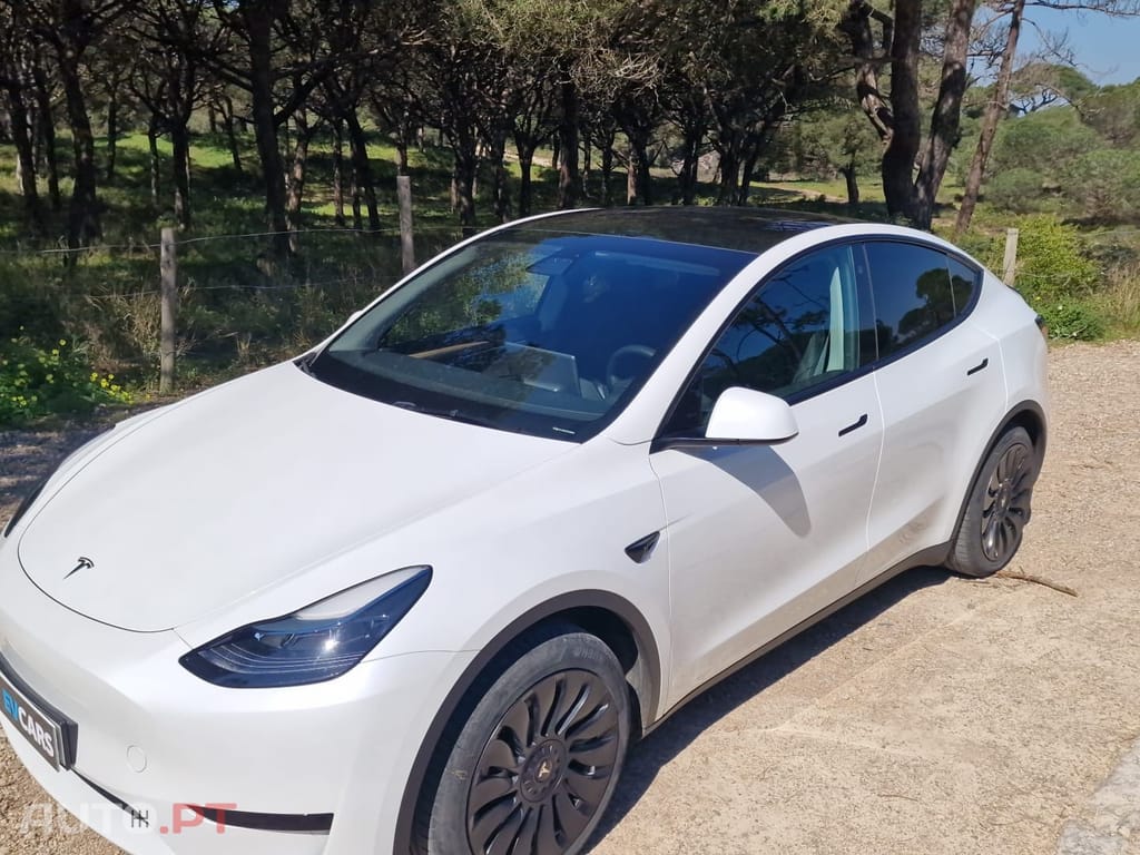 Tesla Model Y RWD