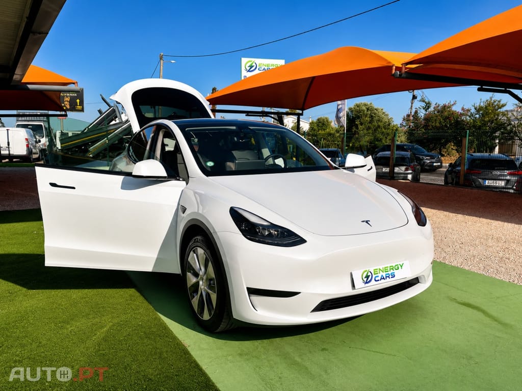 Tesla Model Y Standard