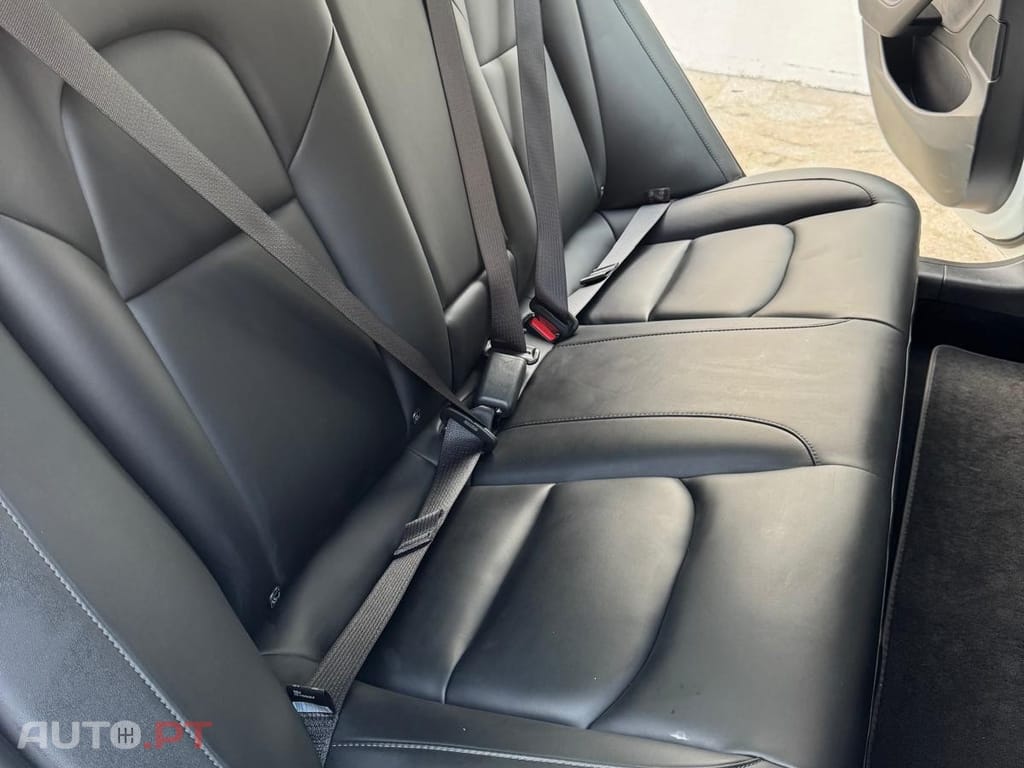 Tesla Model 3 Standard RWD Plus