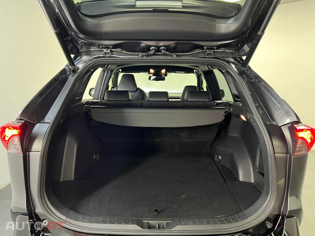 Toyota RAV4 2.5 Hybrid D. Force SQUARE Collectio 4x2