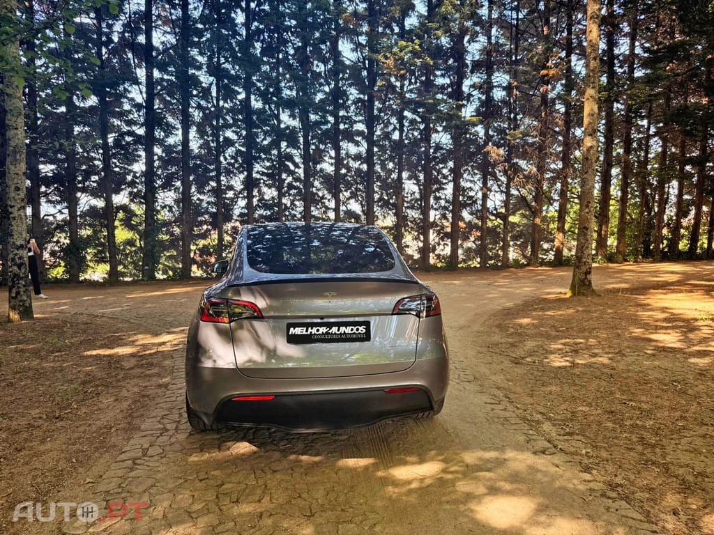 Tesla Model Y Performance Dual Motor AWD