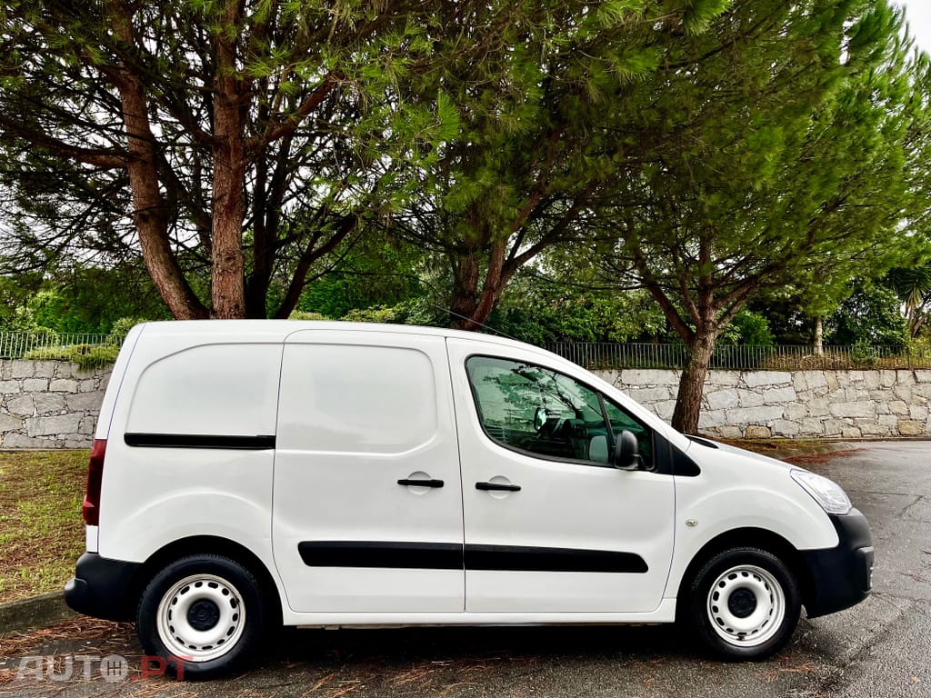 Citroen Berlingo 1600 - HDI