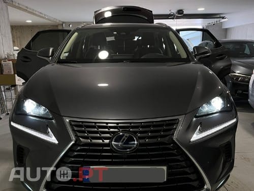 Lexus NX Executive