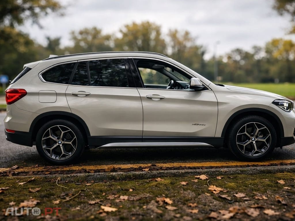 BMW X1 xDrive25d Aut. Sport Line