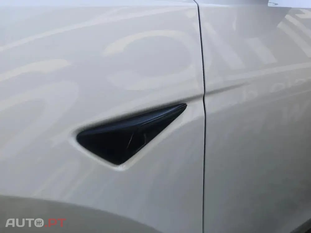 Tesla Model Y Performance Dual Motor AWD
