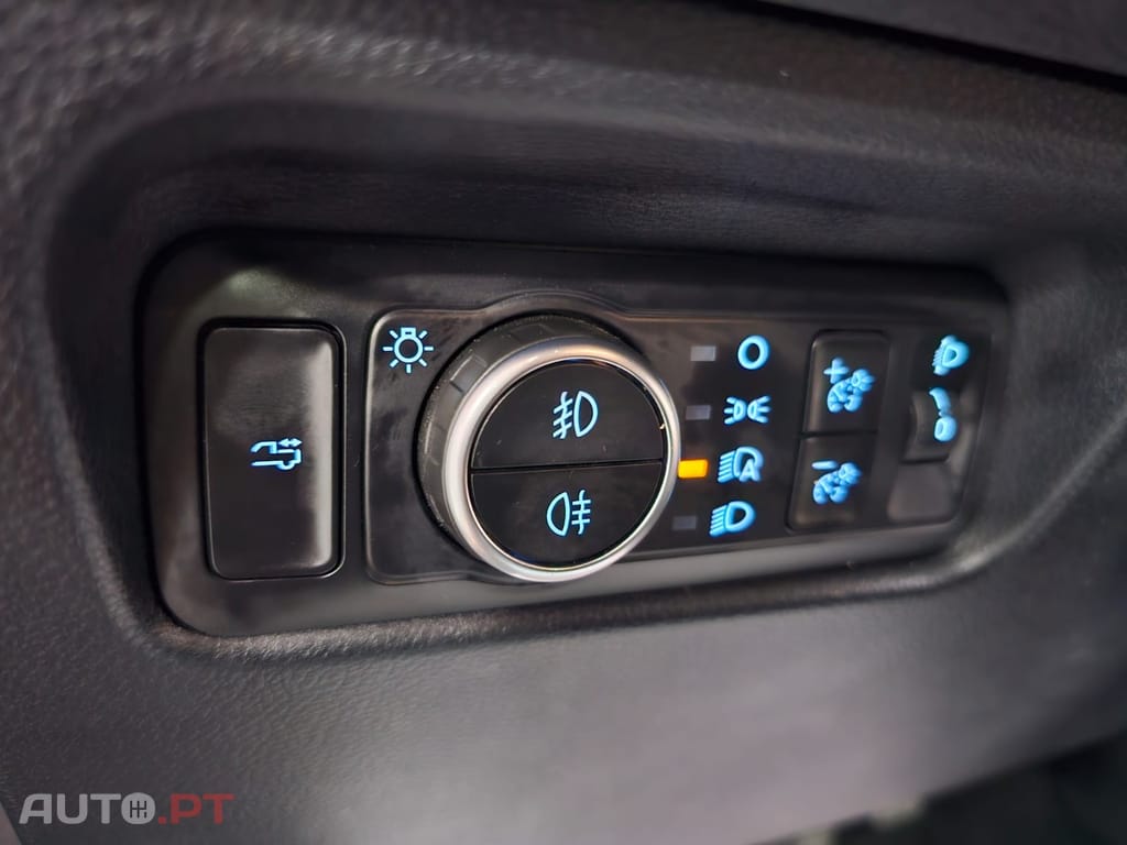 Ford Ranger 2,0 l EcoBlue Cabine Dupla Auto Wildtrak