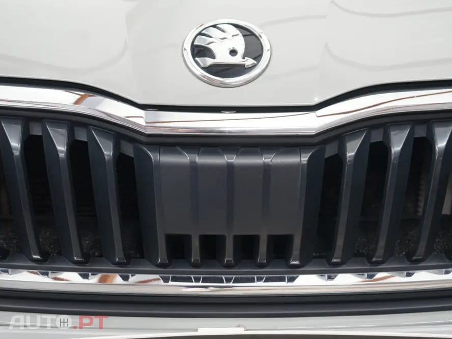 Skoda Scala sport business