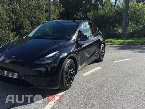 Tesla Model Y RWD