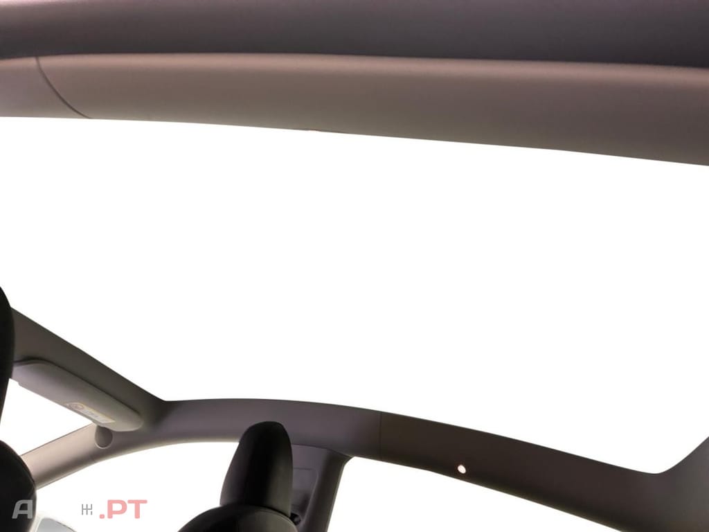 Tesla Model Y Standard RWD