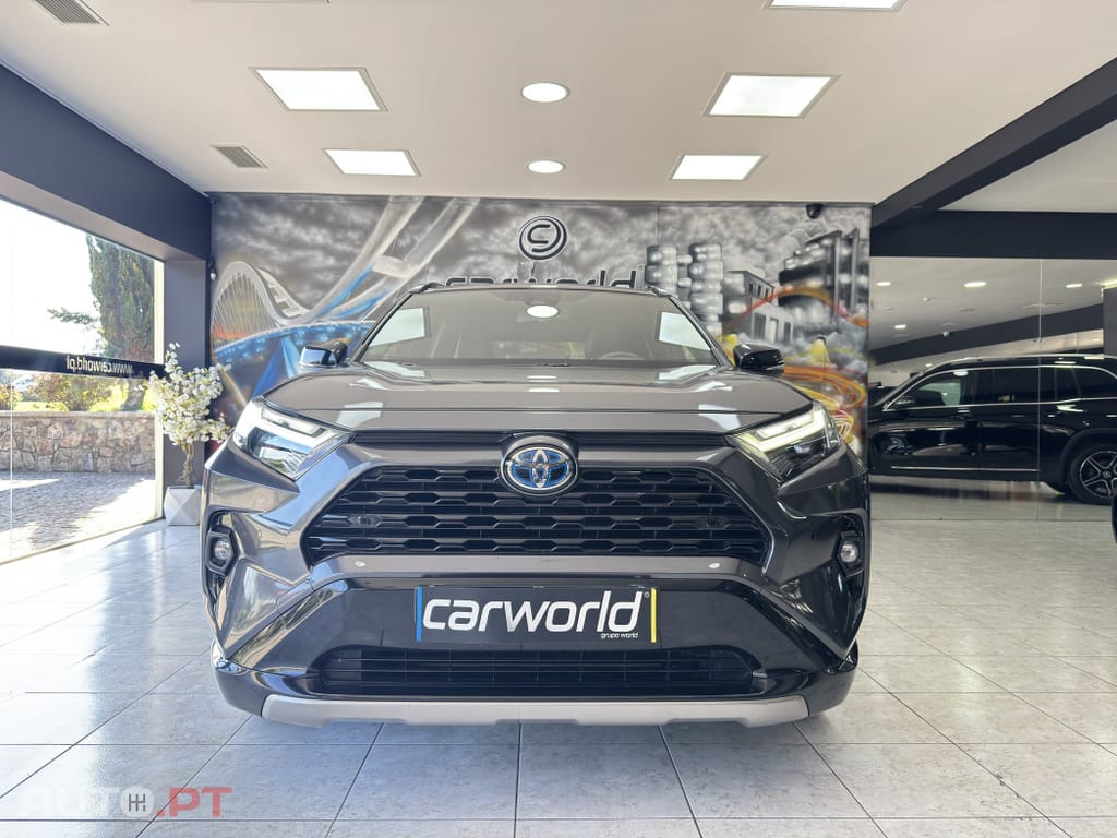 Toyota RAV4 HDF Square Collection