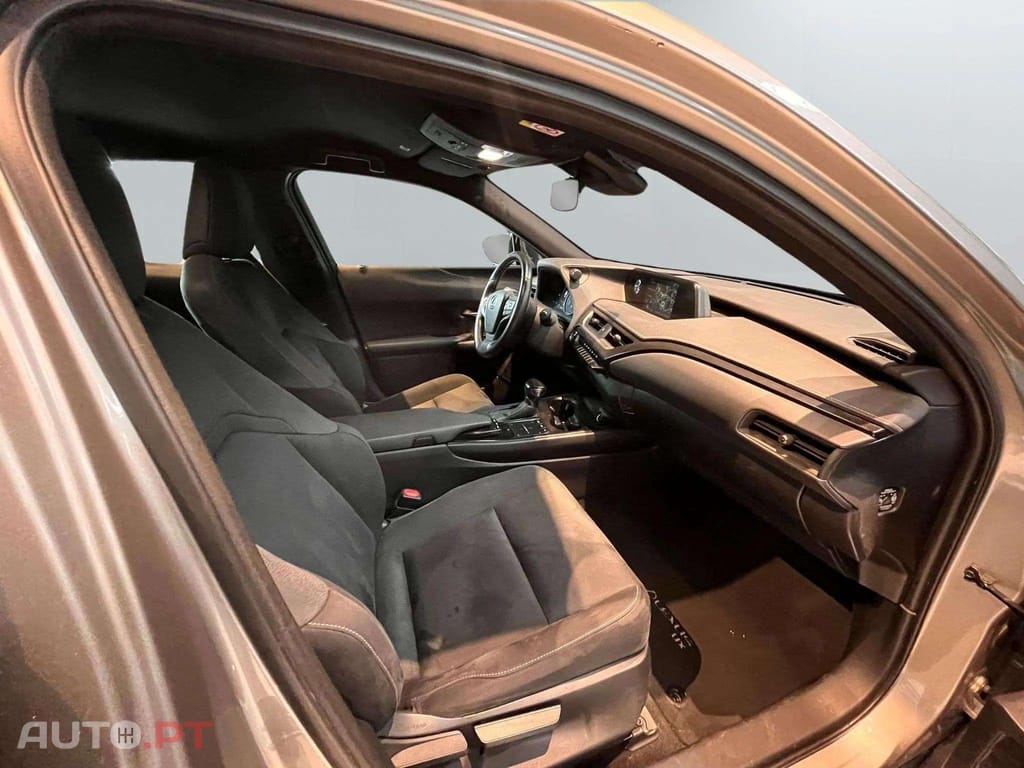 Lexus UX Business