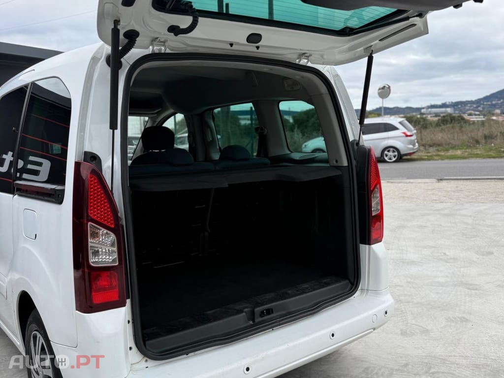 Citroen Berlingo Multispace