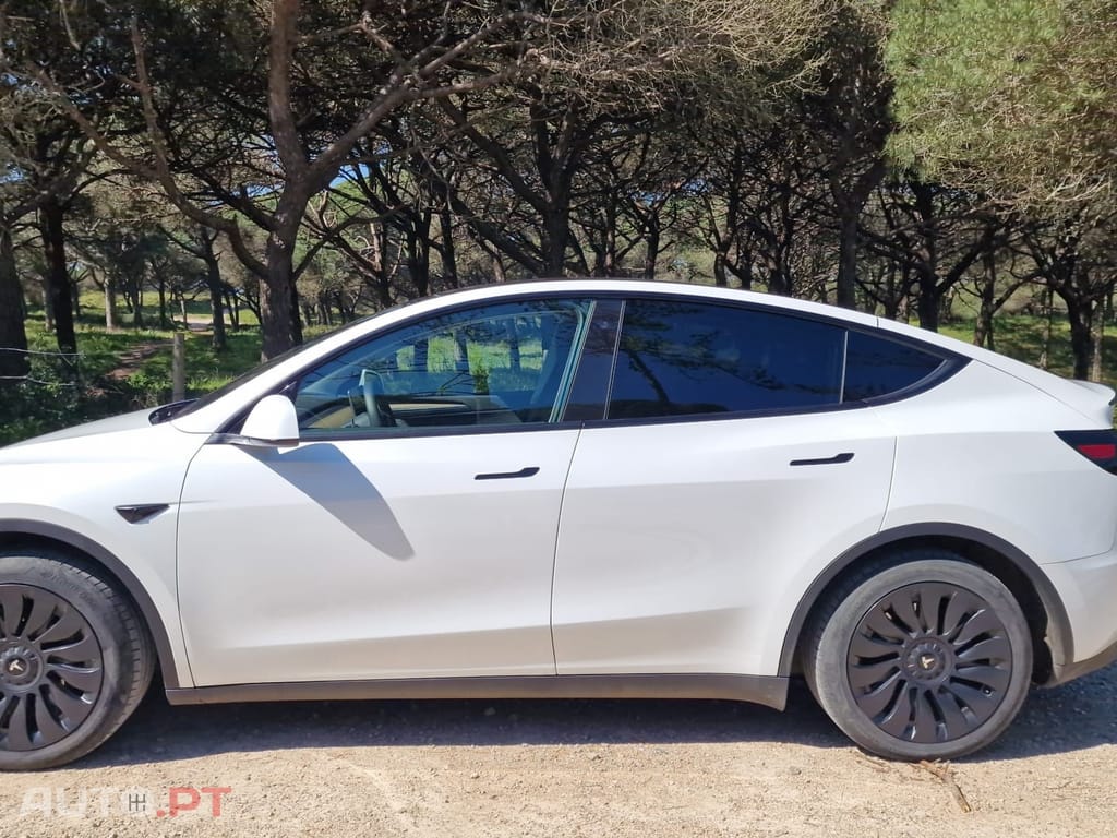 Tesla Model Y RWD