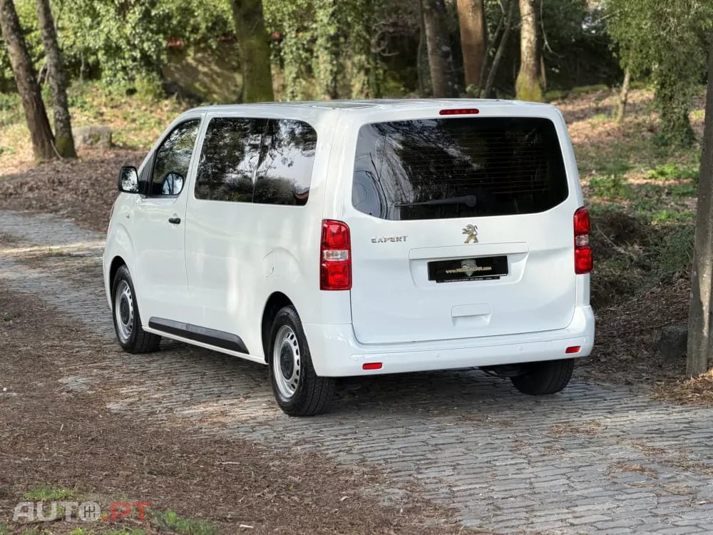 Peugeot Expert 1.5 BlueHDi L2H1 Semi-Vidrado