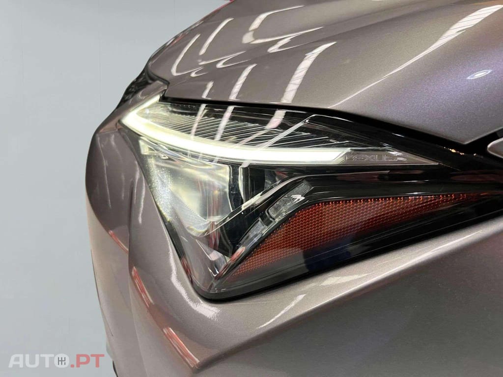 Lexus UX Business