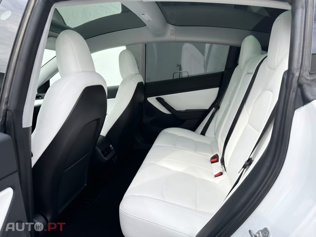 Tesla Model 3 Performance