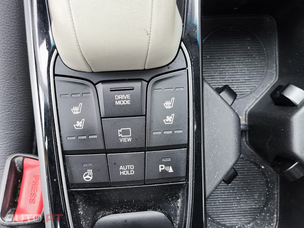 Hyundai Ioniq 38kWh full extras