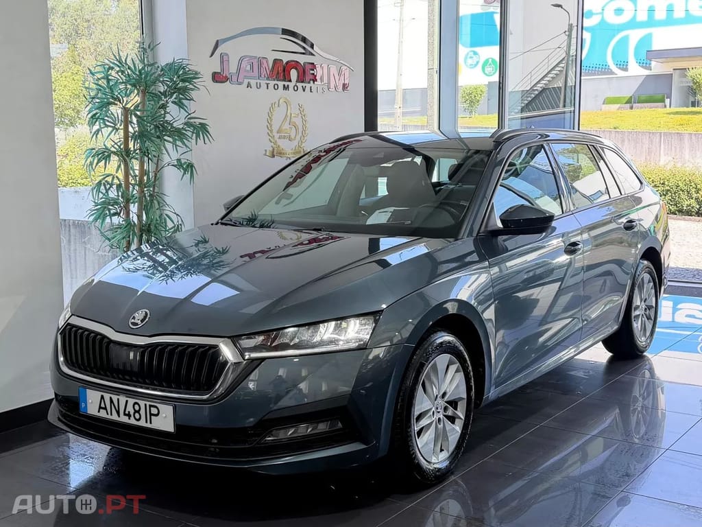Skoda Octavia Break 2.0 TDI Ambition