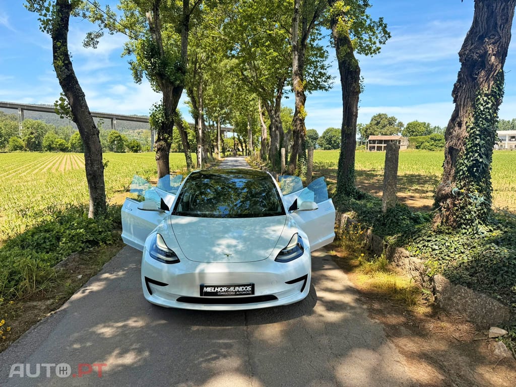 Tesla Model 3 Standard RWD Plus