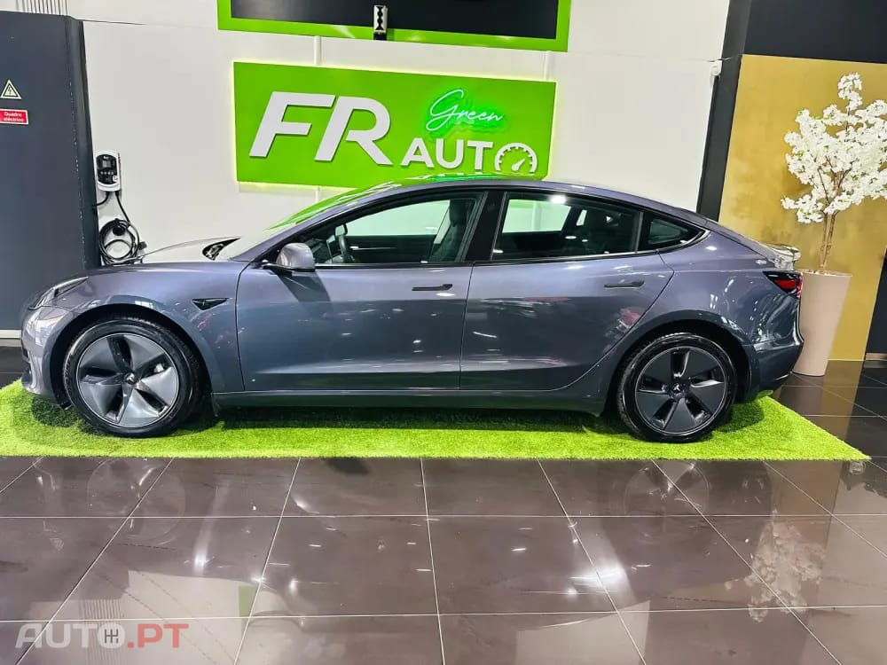 Tesla Model 3 Standard RWD Plus