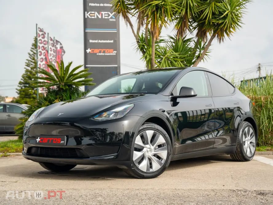 Tesla Model Y Standard